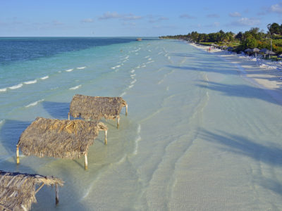 Jardines del Rey
